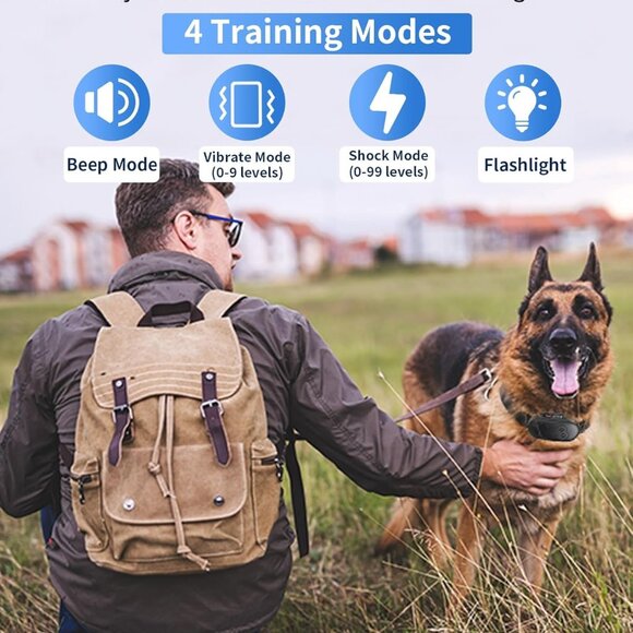 Dog Shock Collar with Remote Control - Picture 5 of 6